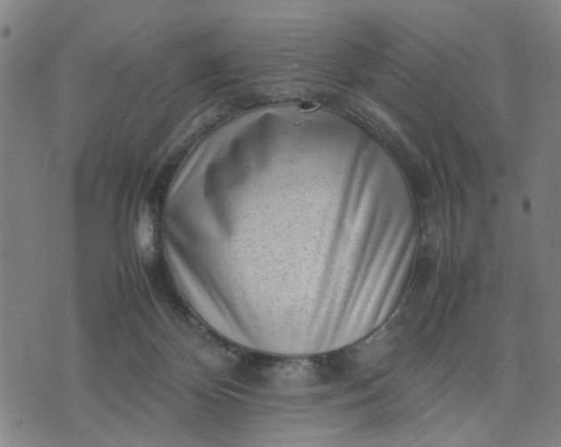 X0000074230124200609081631