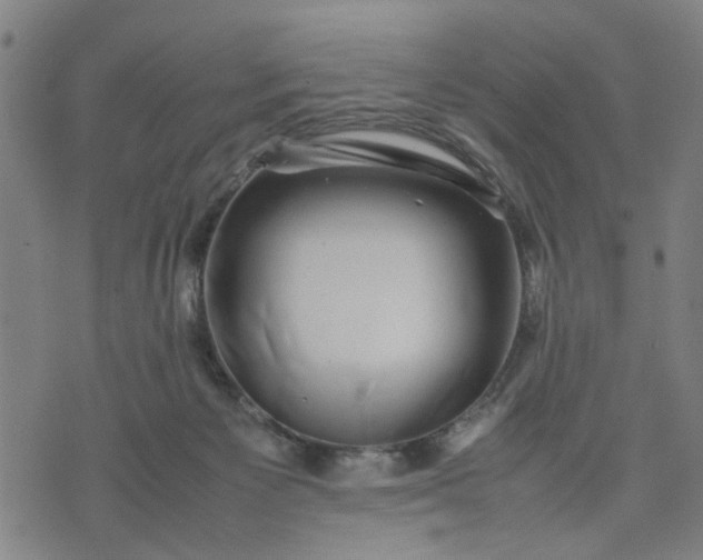 X0000074230125200609081631