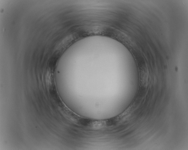 X0000074230126200609081631