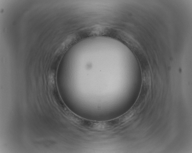 X0000074230127200609081631