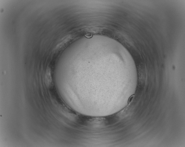 X0000074230128200609081631