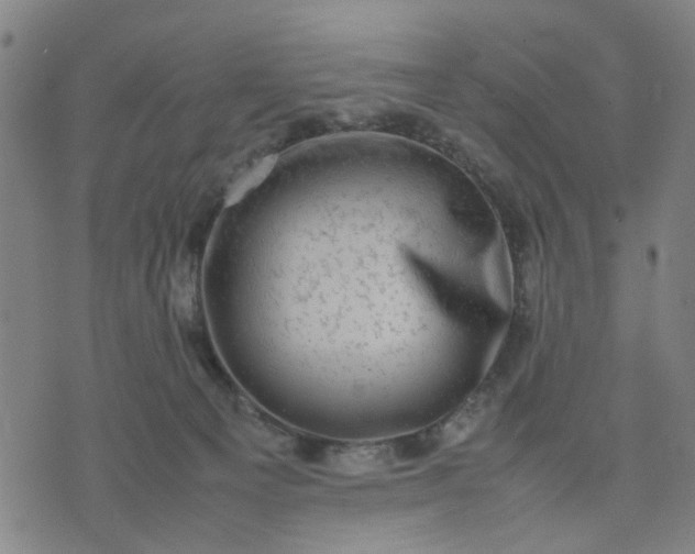 X0000074230129200609081631