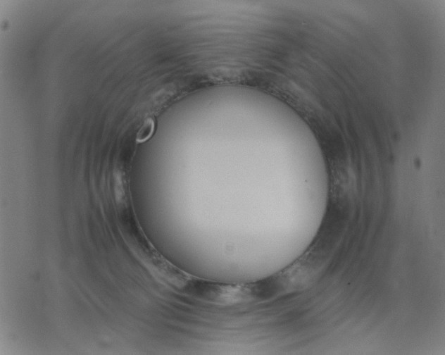 X0000074230130200609081631