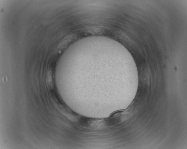 X0000074230132200609081630