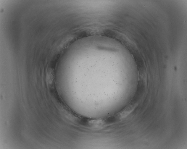 X0000074230133200609081630