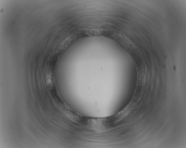 X0000074230134200609081630