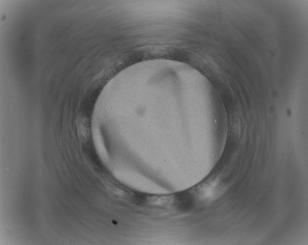 X0000074230135200609081630