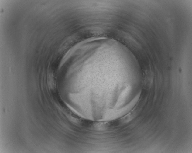 X0000074230136200609081630