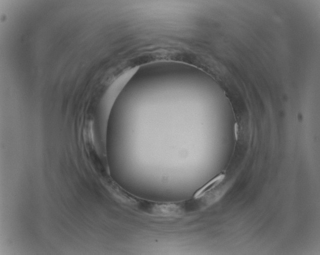 X0000074230137200609081630