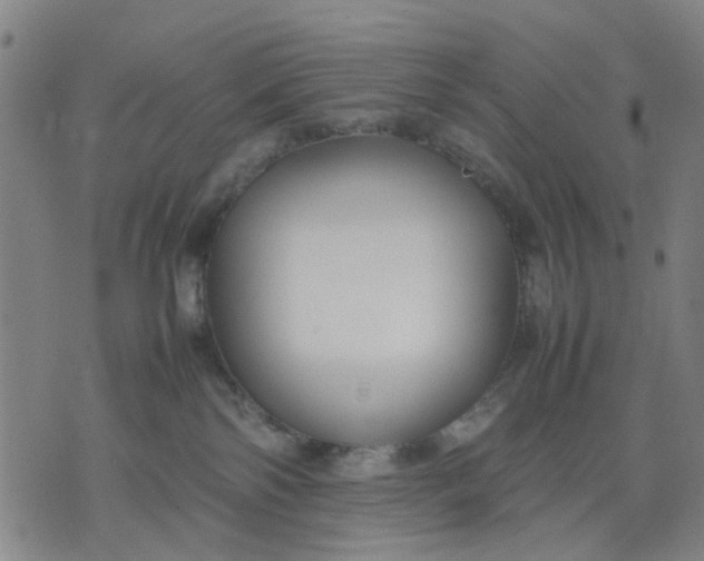 X0000074230138200609081630