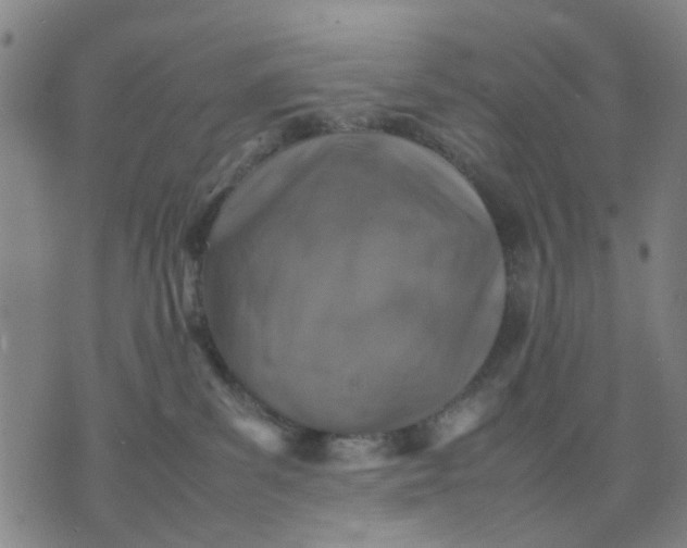 X0000074230139200609081630