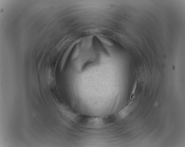 X0000074230140200609081630