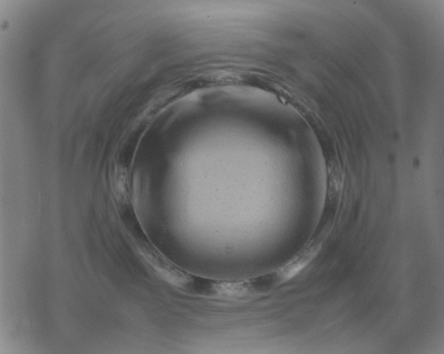 X0000074230141200609081630