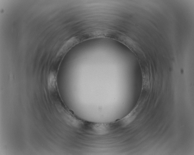 X0000074230142200609081630