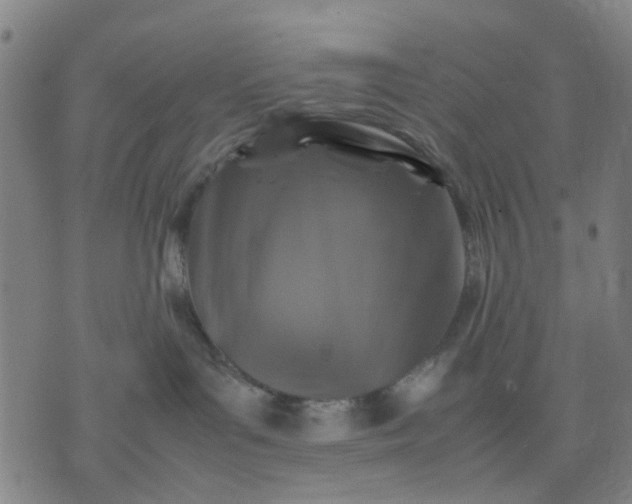 X0000074230143200609081630