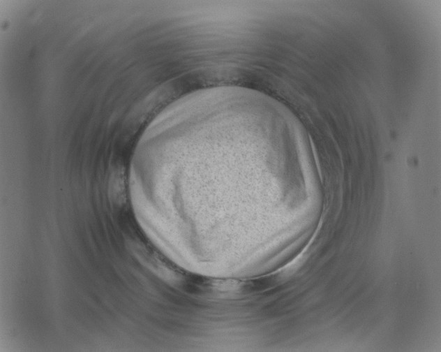 X0000074230144200609081630