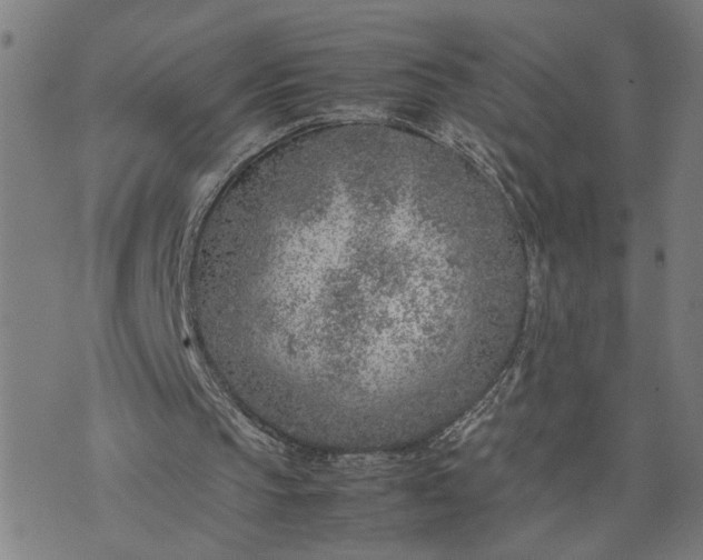 X0000074230145200609081630