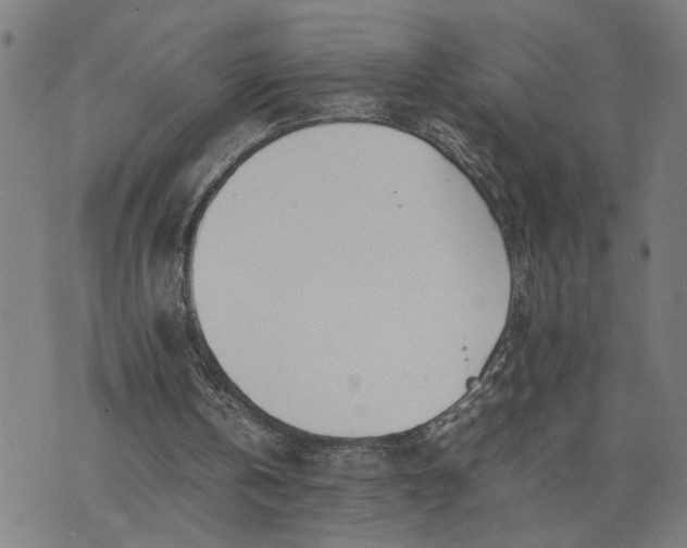 X0000074230146200609081630