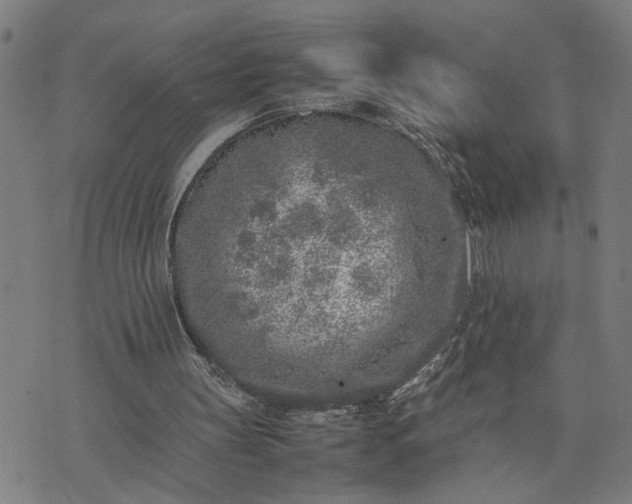 X0000074230147200609081630