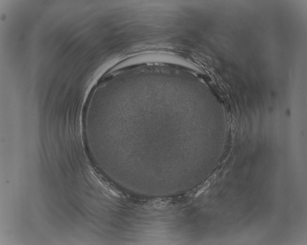 X0000074230148200609081630