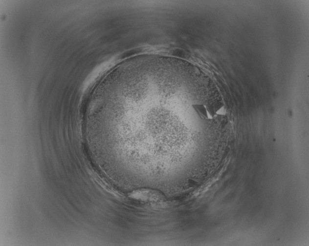 X0000074230149200609081630