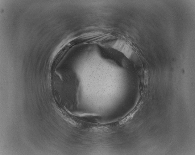 X0000074230150200609081630