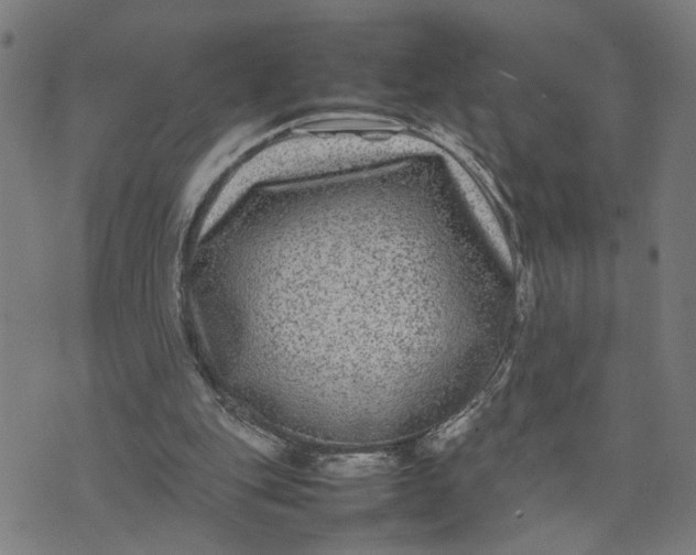 X0000074230151200609081630