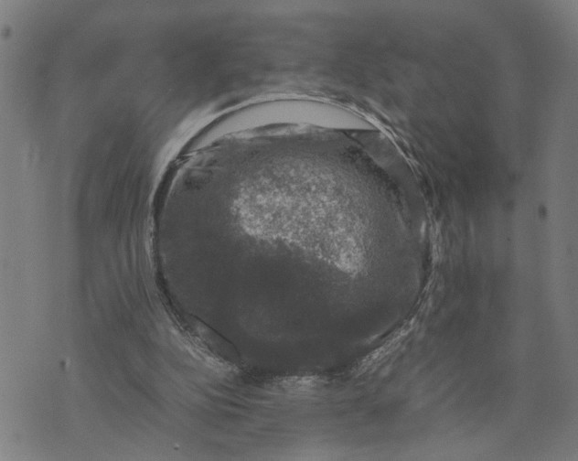 X0000074230152200609081630