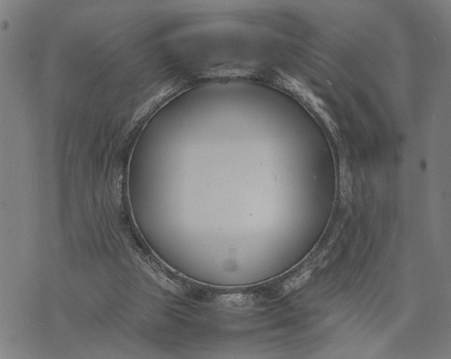 X0000074230153200609081630