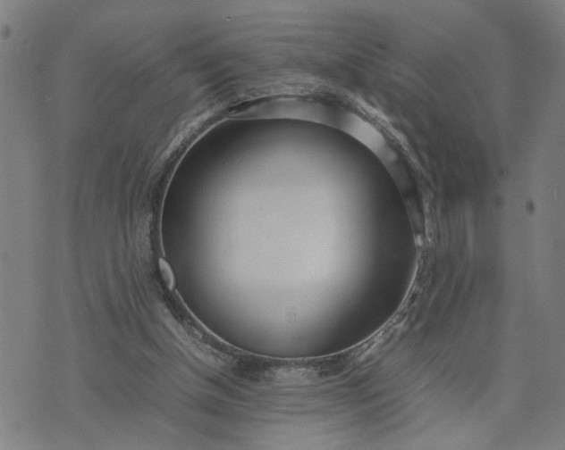 X0000074230154200609081630