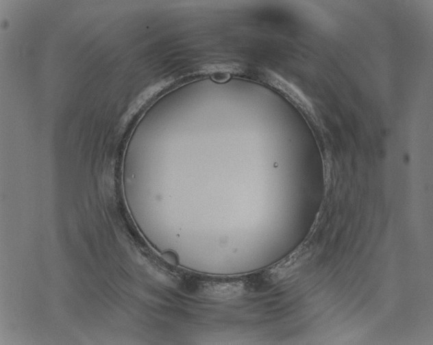 X0000074230155200609081630