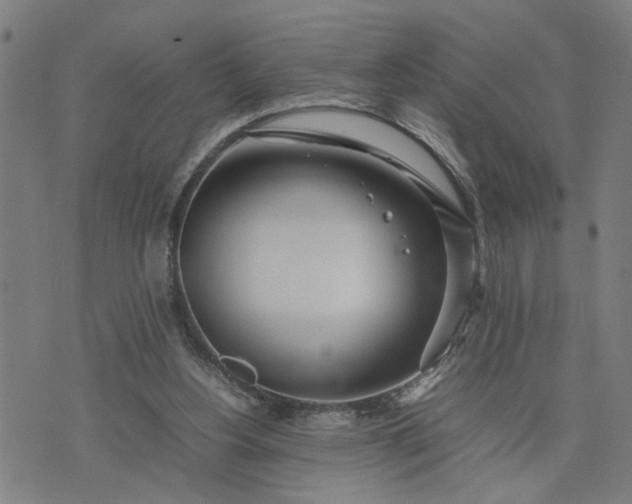 X0000074230156200609081630