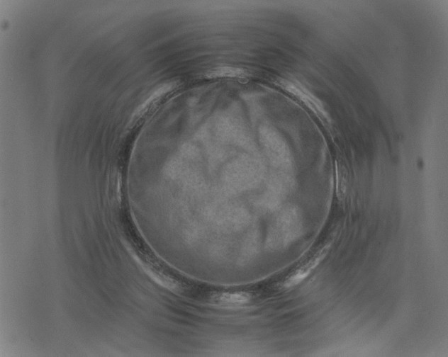 X0000074230157200609081630