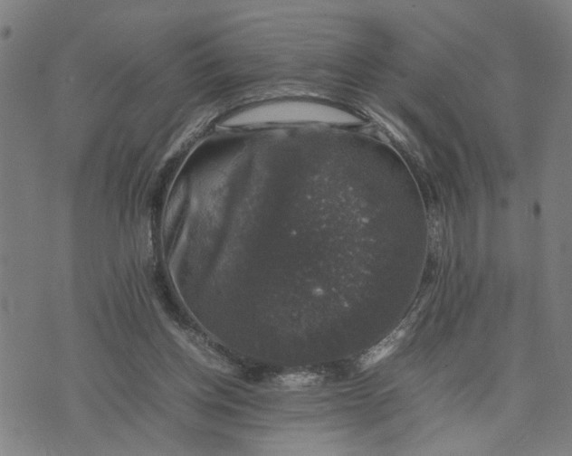 X0000074230158200609081630