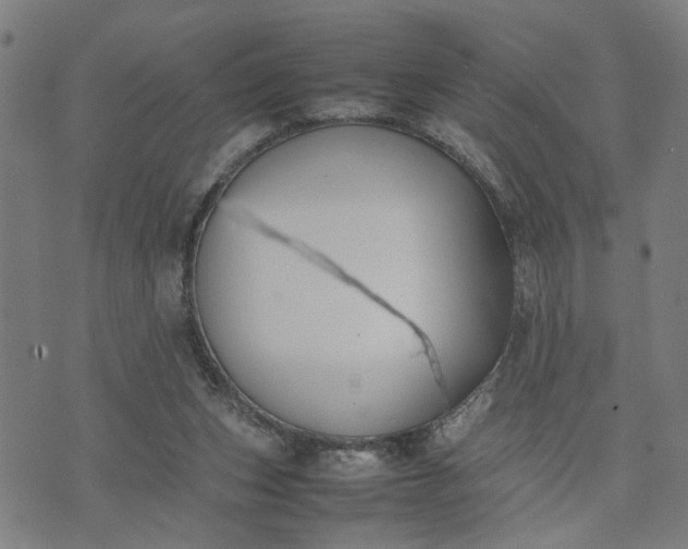 X0000074230159200609081630