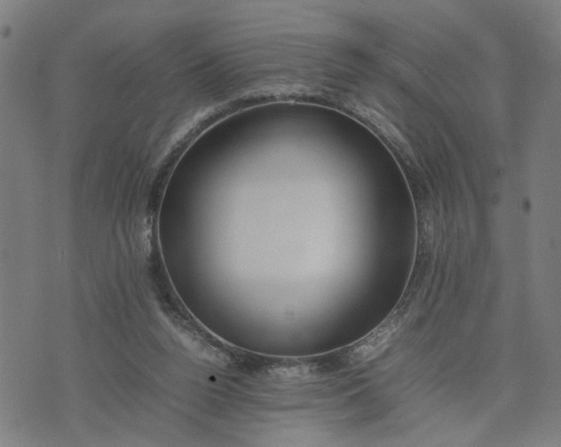 X0000074230160200609081630