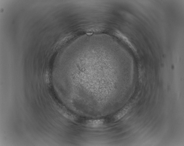 X0000074230161200609081630