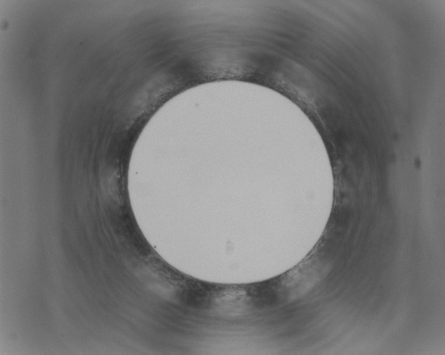 X0000074230162200609081630