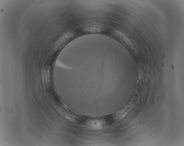 X0000074230163200609081630