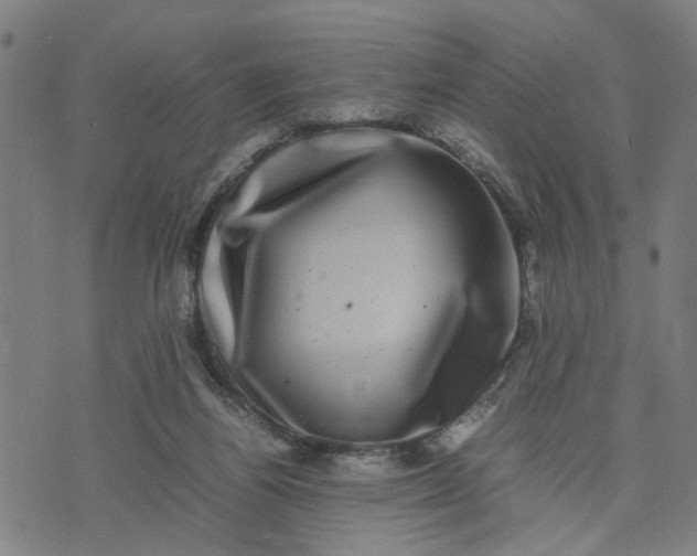 X0000074230164200609081630