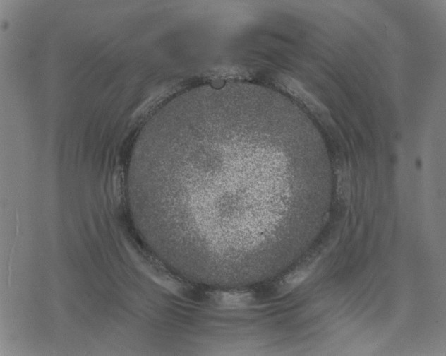 X0000074230165200609081630