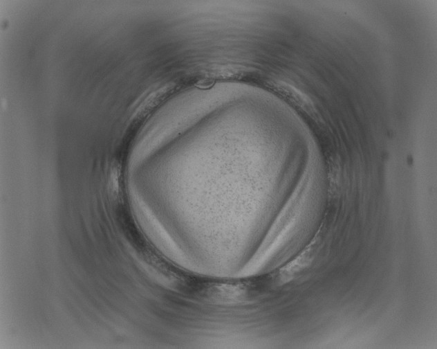 X0000074230166200609081630