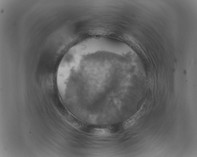 X0000074230167200609081630