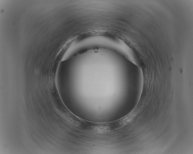 X0000074230168200609081630