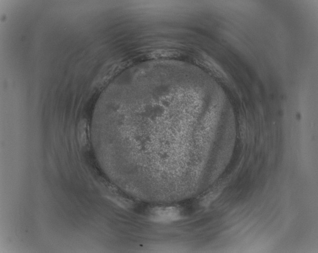 X0000074230169200609081630