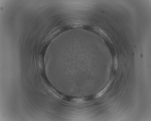 X0000074230170200609081630