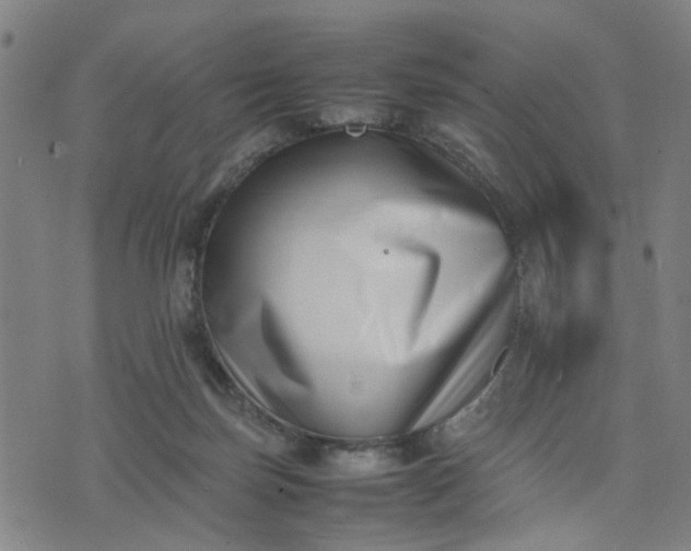 X0000074230171200609081630