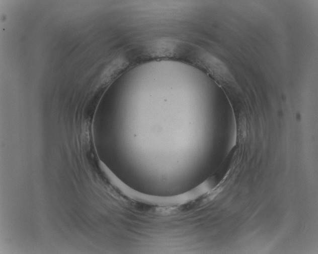 X0000074230172200609081630