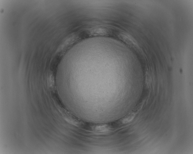 X0000074230173200609081630