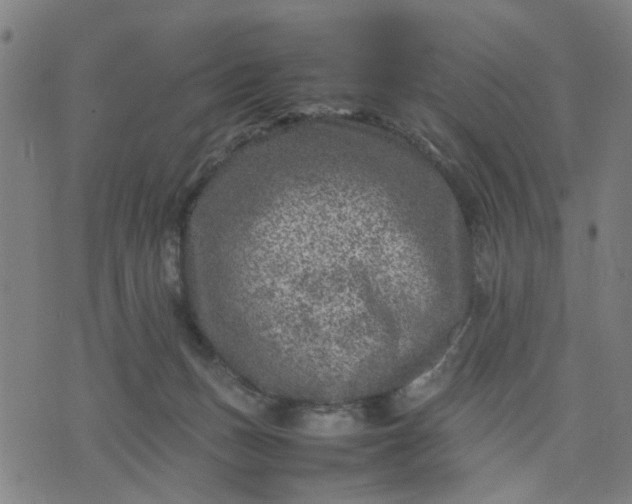 X0000074230175200609081630